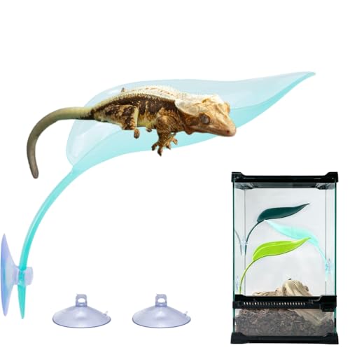 Reptile Hammock with Suction Cups Plastic Leaf Hanging Bed for Crested Gecko Lizard Hideout Climbing Toys Tank Ornament Accessories for Leopard Gecko Tree Frog Snake Amphibian (Transparent Green) - color: Transparent Green