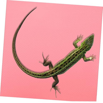 Reptile Carpet Substrate Mat for Leopard Gecko Snake Tortoise Lizard Bedding Terrarium Liner Reusable Cuttable Lightweight Flooring for Reptile Tanks