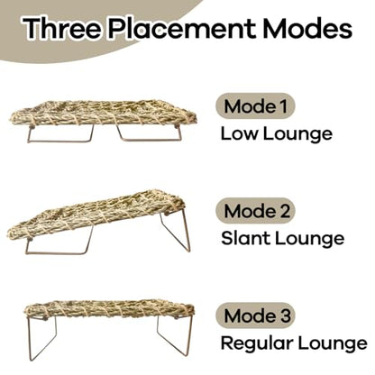 Bearded Dragon Hammock, 15.75''x7.28'' Large Reptile Tank Accessories with Collapsible Sturdy Metal Legs, Basking Platform Bed Habitat for Lizard Leopard Gecko Snake Turtle Hermit Crab and Frog