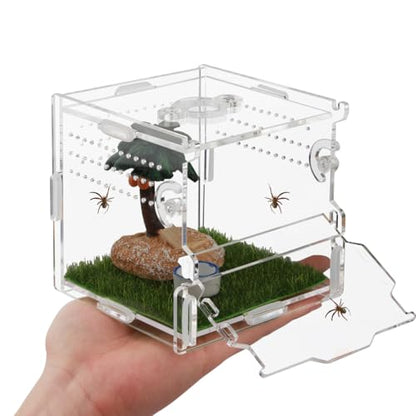 Jumping Spider Enclosure 4x4x4 Acrylic Clear Cage - color: Transparency-Basic