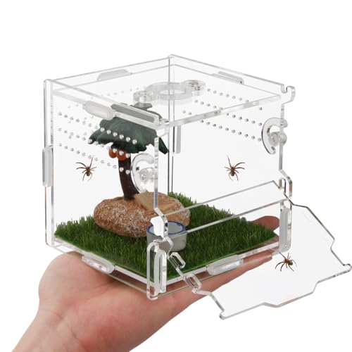Jumping Spider Enclosure 4x4x4 Acrylic Clear Cage - color: Transparency-Basic