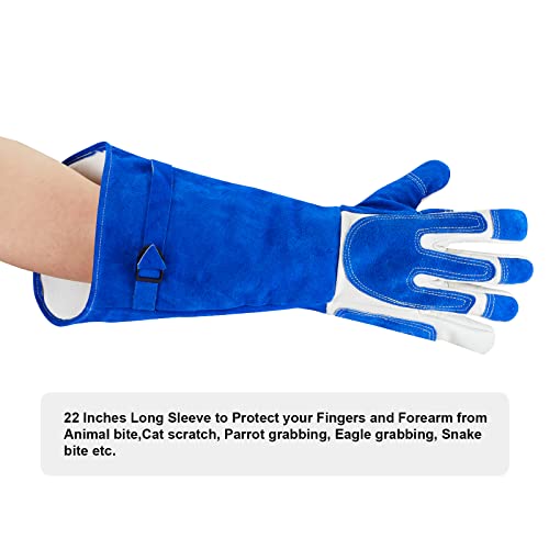 Animal Handling Gloves Bite Proof Reinforced Leather for Dog Training Cat Scratch Falcon Reptile Grabbing Snake - color: Blue-2