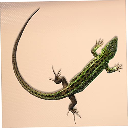 Crawling Carpet for Reptiles Bearded Dragon Tank Accessories Snake Bedding Liner Washable Mat - color: Pink