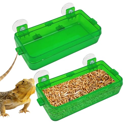 Reptile Feeder Chameleon Bowl 2 Pcs Anti-Escape Food Dish Bowl with Suction Cup for Chameleon Iguana Lizard Reptile Food and Water Feeding (Green, M) - color: Green, size: M