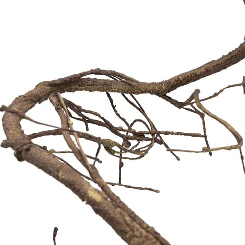 Pangea Reptile Ultimate Vine for Terrarium Habitat (Brown) - color: Brown