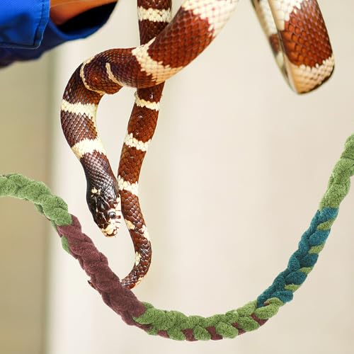 HANABASS Hermit Crab Climbing Vine Artificial Reptile Terrarium Vine Decorative Rope for Small Reptiles Habitat Enclosure Accessories