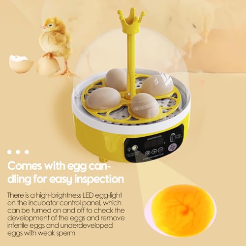 Tissting Egg Incubator with Manual Egg Turning & Humidity Control, Incubators for Hatching Eggs, Poultry Incubator for Chicken Duck Goose Quail Bird Eggs, for Kids (Manual)