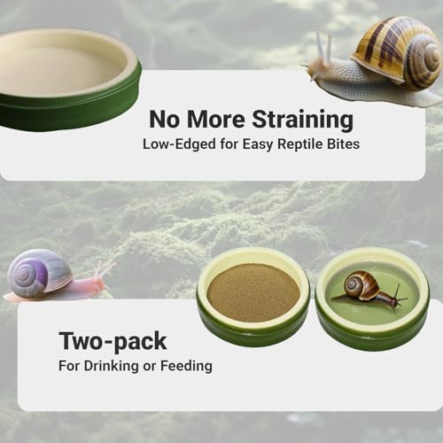 2 Pack Snail Water and Food Bowl，atural Design Food Bowl for Pet Snails, Garden Snails Pet Land Snail Terrarium Supplies - color: green