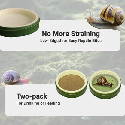 2 Pack Snail Water and Food Bowl，atural Design Food Bowl for Pet Snails, Garden Snails Pet Land Snail Terrarium Supplies - color: green