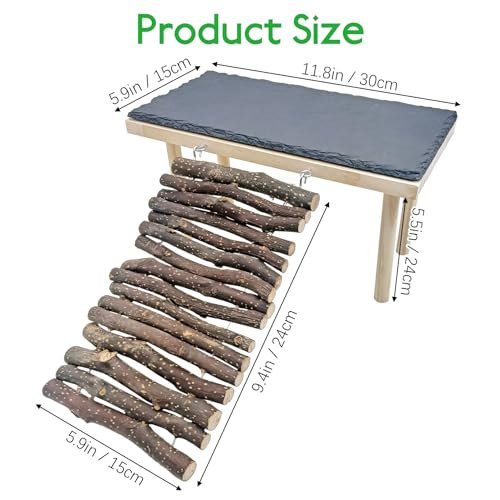 BNOSDM Reptile 16oz Cork Bark Substrate and Small Basking Rock Platform for Lizard, Gecko