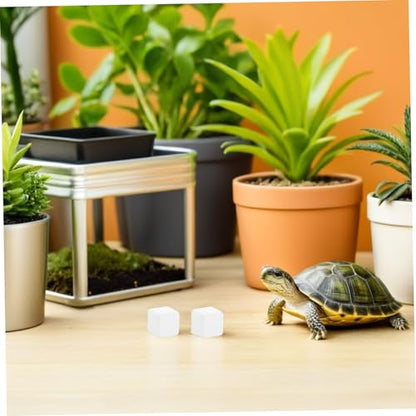 KESYOO 6 Natural Mineral Calcium Blocks for Turtles and Reptiles, Mineral Supplement for Tank Substrate, Aquarium and Terrarium Accessory, Health Support and