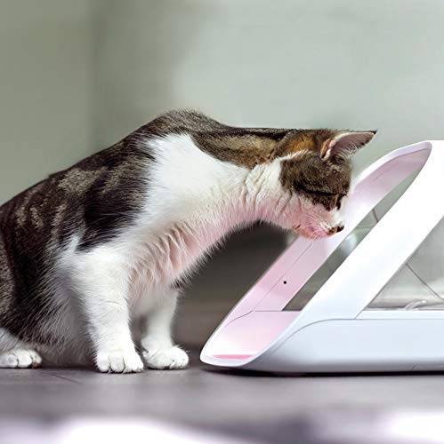 SureFeed Microchip Pet Feeder Connect - Requires Hub (Sold Separately) - style: Connect Version