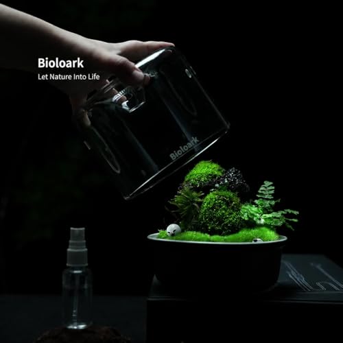 Bioloark MY-150K Glass Plant Terrarium with Ceramic Base, 6.4” x 6.7” Black, Moss Terrarium Container with Clear Glass Cover, Ventilation Holes, Moisture Cycle Lid for Ferns, Succulents & Small Plants - color: MY-150K (6.4 "X6.7")Black