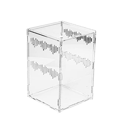 6" x 6" x 9" Acrylic Large Terrarium Enclosure for Small Reptiles, Amphibians, Spiders, Tarantula, Gecko, Snail, Praying Mantis, Millipede, Centipede, Isopods (Arboreal)