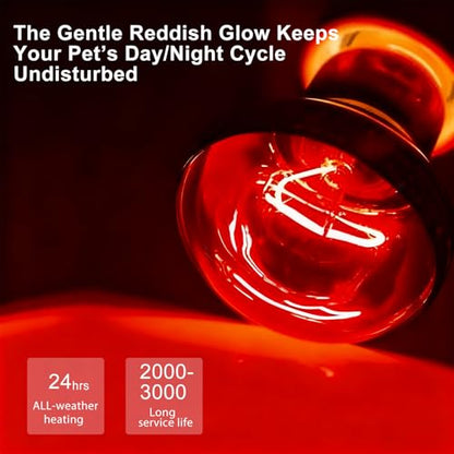 100W Infrared Heat Lamp Bulb, 2-Pack Red Heat Emitter for Reptile & Amphibian Basking – Perfect for Bearded Dragon, Lizard, Turtle, Snake - color: Red
