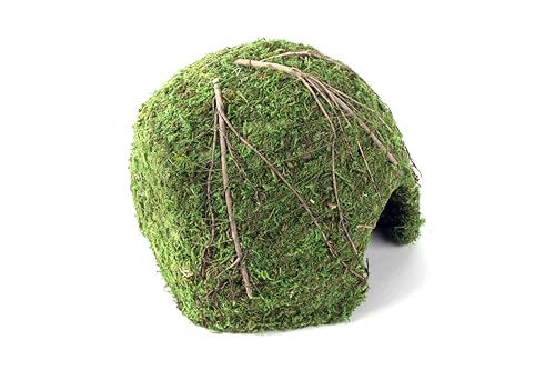 Galápagos (05368) Mossy Dome Hide - Natural Corner Cave for Reptile Enclosures, Terrariums, and Tanks, 9", Vined Green Moss