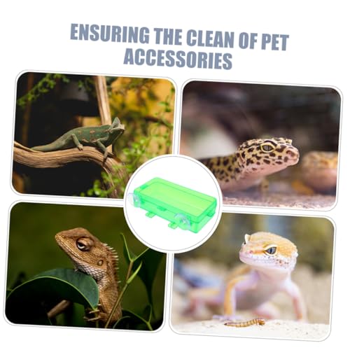 BESPORTBLE Reptile Feeding Bowl with Suction Cup Gecko and Lizard Dish for Food and Water Easy to Clean and Install for Snake and Reptile Tanks Small Green