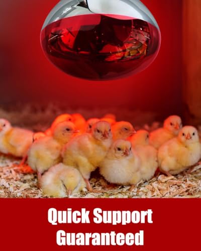 250W R40 Red Heat Lamp Bulbs, 8000 Hours Rated, Infrared Flood Light, Brooder Heating Lamp for Chickens, Reptiles, Pets, Bathroom, E26 Base - 6 Pack - color: Red, size: 6 Pack