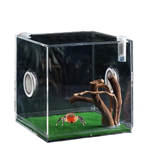 Acrylic Jumping Spider Terrarium - Reptile Growth Clear Container, Clearer View Small Pet Enclosure, Practical Convenient Spacious Habitat, Durable Housing Design Versatile Use | for Snails Lizards Be - color: Ash Green