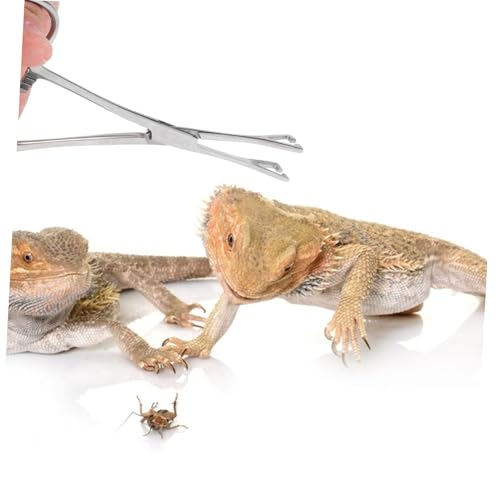 Stainless Steel Reptile Feeding Tongs Long Handle Clamp for Snakes Lizards Wear Resistant Tool with Tension for Easy Feeding Terrariums and Tanks