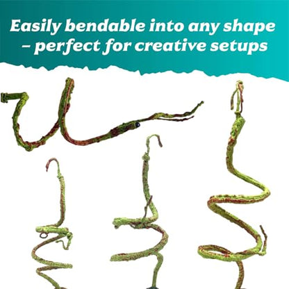 Jumping Spider Hide with Bendable Vine – Mushroom Cave for Tarantula, Gecko & Tree Frog – Reptile Terrarium Decor for Spider Enclosure & Reptile Tank (4"x4"x12")