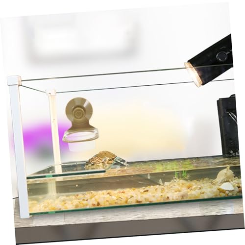 BESPORTBLE Tortoise Food Bowl Turtle Feeder Plate for Terrarium Reptile Dish Suction Cup for Geckos Chameleons