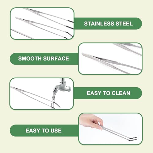 3Pcs Reptile Feeding Tool Set, 2 Tipped Tongs and 1 Feeding Spoon, Stainless Steel Crested Gecko Feeding Spoon for Geckos, Lizards, Bearded Dragons, Small Animals (Silver) - color: Feeding Set Silver