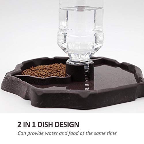 Automatic Reptile Feeder Reptile Food and Water Dish Bowl Bottle Tortoise Turtle Water Dispenser for Bearded Dragon Gecko Lizard (Brown) - color: Brown