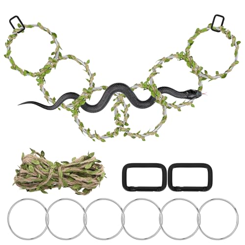 1+1 Small Snake Enrichment Rings for Ball Python, Climbing Toys for Corn Snake Enrichment Toys Snake Climbing Accessories for Terrarium, Bearded Dragon, Chameleon, Iguana, Gecko, Parrot (Small-3.5in) - size: Small-3.5in