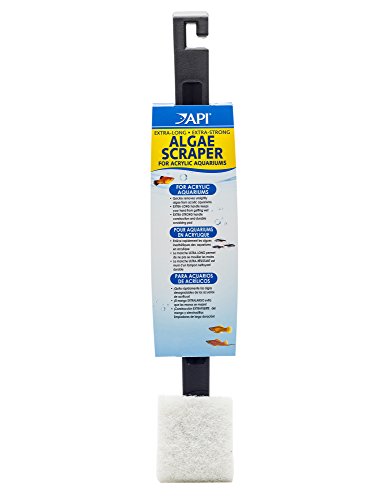 API Algae Scraper for Acrylic Aquariums 1-Count Container (Pack of 12) - color: Green, size: Scraper (Pack of 12)