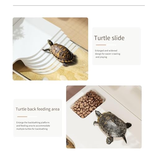 Desktop Terrapin & Crab Tank - Compact Habitat for Home & Office Small Reptile Terrarium(Small) - size: Small