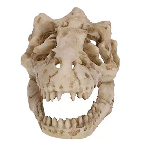 2Pcs Aquarium Decoration Dinosaur Skull Skeleton Fish Tank Cave Pet Reptile | Desert Reptile Bearded Dragon Snake Tank Decor Hideaway for Fish Natural Look Fun Underwater Environment