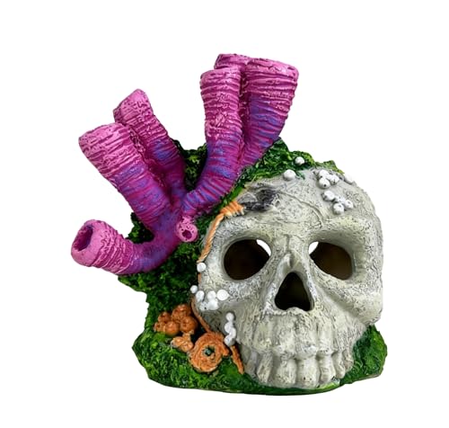 Skull Aquarium Hideout with Coral – Betta Fish Tank Decorations, Shrimp Cave & Small Fish Hideaway, Resin Underwater Skull Decor for Freshwater Aquarium