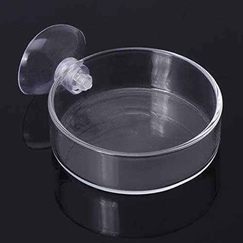 Shrimp Feeder Glass Feeding Dish Aquarium Fish for Reptiles Food Bowl with Suction Cups 2.4x0.7 Inch