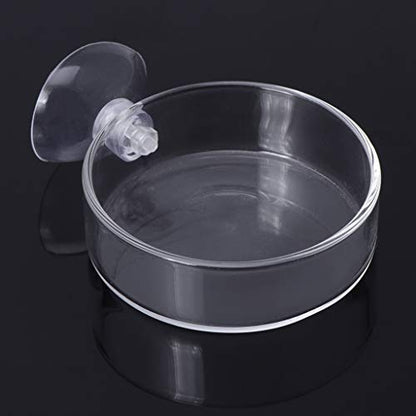 Shrimp Feeder Glass Feeding Dish Aquarium Fish For Tank Reptiles Round Clear Food Bowl With Suction Cups 2.4x0.7 Inch Shrimp Feeding Dish Shrimp Feeding Dish And Tube Shrimp Feeding Dish With Suction