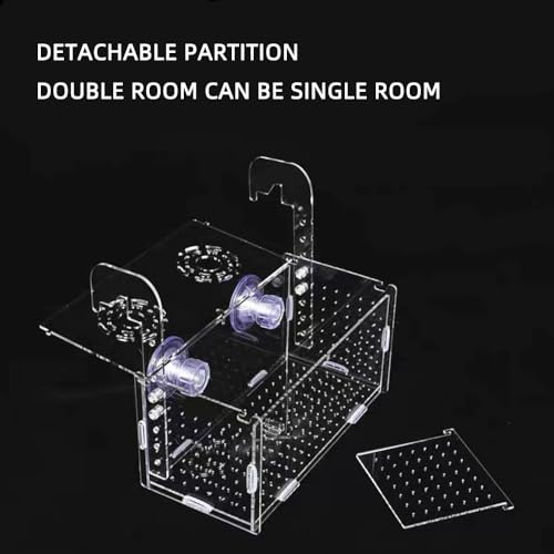 Acrylic Fish breeding Box, Fish Separation Breeder Box Acrylic Fish Tank Breeding Isolation Box for Aquarium Hatchery Incubator with Suction Cups for Baby Fishes Shrimp Clownfish (6*6*8inch)