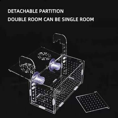 Acrylic Fish breeding Box, Fish Separation Breeder Box Acrylic Fish Tank Breeding Isolation Box for Aquarium Hatchery Incubator with Suction Cups for Baby Fishes Shrimp Clownfish (6*6*8inch)