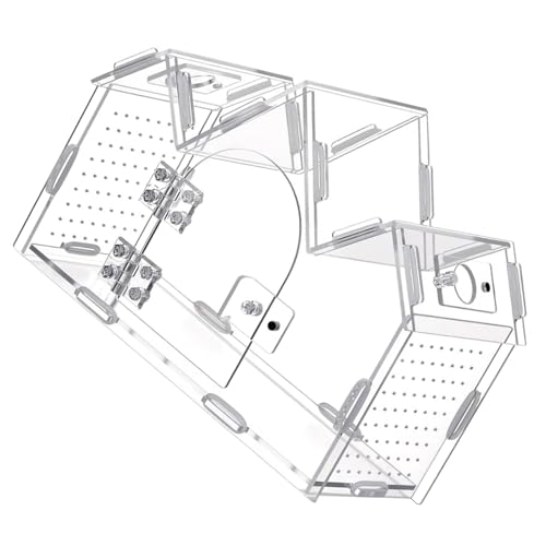 360 Degree Clear Views Reptiles Terrarium Box Ventilated Design Tanks House for Quick Maintenances and Plant Display Use Habitat House Transparent Cage Safe Enclosure Ventilated Box for