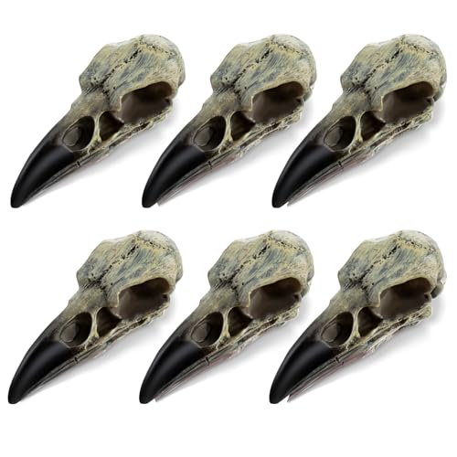 6Pcs Halloween Raven Skull Decor, Gothic Fake Crow Skull for Necklace, Resin Bird Skulls Pendant for Halloween Costumes, Wall Decorations - style: 6Pcs