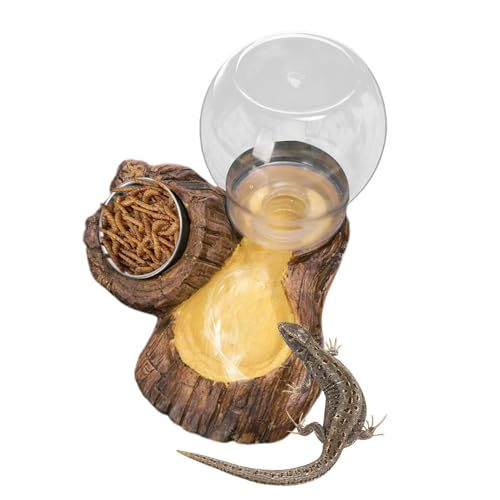 Tortoise Food Dish | Reptile Feeding Dish - Leopard Water and Food Bowl - for Enclosure Terrarium Turtle Tortoise Snake Bearded Dragon Lizard Chameleon Leopard