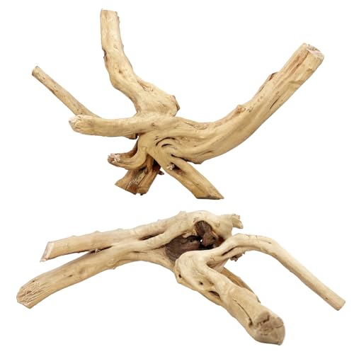 2 PCS Large Natural Spider Wood for Aquarium 12-16", Aquarium Drift Wood, Assorted Size Spider Wood, Twisted Branches Trunk for Fish Tank, Aquascaping, Reptile Climbing Branch, Terrarium Decor - color: Spiderwood 12-16in(2PCS)