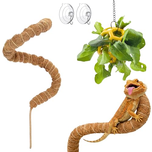 Bearded Dragon Climbing Accessories Toys for Tank, Bearded Dragon Veggie Feeder Ball and Bendable Vines Decor, Greens Training Kit for Reptile Lizard Gecko, Tank Accessories (Mini Climbing Salad Kit) - color: Mini Climbing Salad Kit