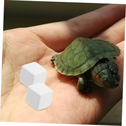 12pcs Crab Mineral Block Natural Reptile Calcium Blocks Grinding Aid for Reptiles Tortoises Lizards and Frogs Chemical- Healthy Habitat Accessories