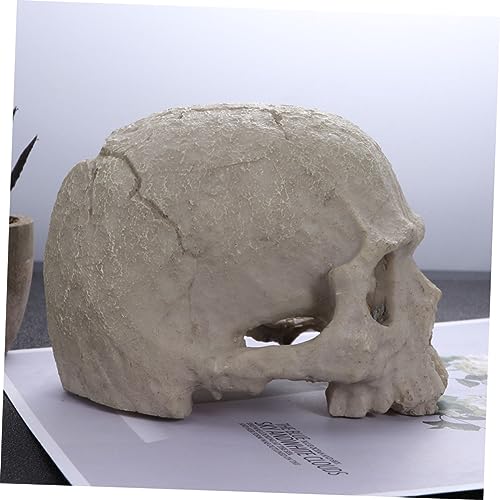 DOITOOL 2pcs Fish Tank Skull Decorations Resin Skull Ornaments Aquarium Landscaping Accessories Skull Props for Reptiles Habitat