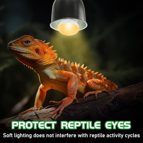 Reptile Heat Lamp Bulbs, UVA Reptile Heat Bulb 2 Pack, 25 Watt Heat Light Bulbs, Daylight Basking Spot Light for Lizard, Bearded Dragon, Snake, Gecko - color: 25*2