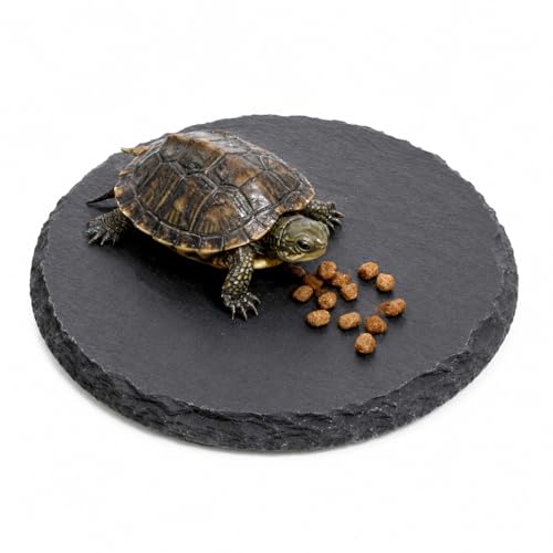 Slate for Reptiles Reptile Basking Platform 3.9Inch Turtle Basking Platform Bearded Dragon Slate Basking-Platforms Bearded Dragon Accessories for Lizards, Chameleons, Geckos, Turtles, Reptile