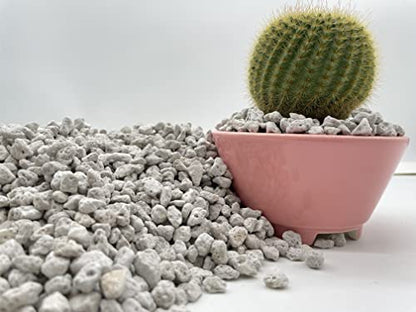 Pumice for Bonsai, Succulent, Cactus, Alocasia, Monstera, and Tropical Aroids | 2 Quarts Bag | 1/4” Particle Size | The Bonsai Supply - size: Pumice 2 Quarts