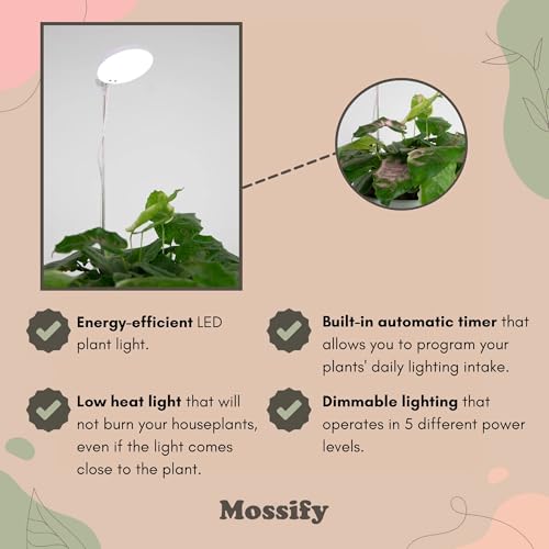 Mossify LED Grow Lights for Indoor Plants Full Spectrum – Adjustable Height (8”-28”), Dimmable Brightness, Programmable Timer, Long Lifespan – Ideal Grow Lights for Healthy Plant & Houseplants (Black) - color: Black