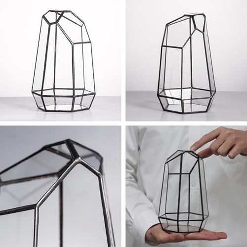 NCYP Small No Door Glass Geometric Terrarium - 4.9 x 3.9 x 7.4 Inches Irregular Clear Terrarium Pot for Mini Succulents, Small Cactus, Indoor Garden Tabletop Decoration (No Plants) - size: 4.9"x3.9"x7.4"