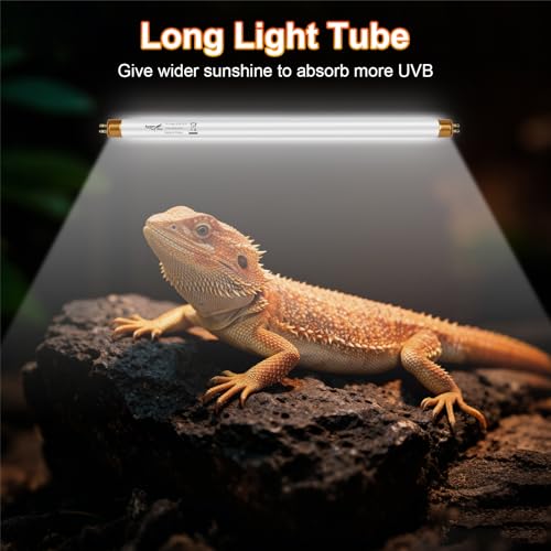 UVB Light for Reptiles Bearded Dragon, 2 Pack T5 UVB Reptile Light UVB Bulb 10.0 8W UVA UVB Reptile Light Bulb Terrarium Light Lamp Tube for Turtle Chameleon Leopard Gecko Snake Tank, 12 Inch - size: T5-12 Inch(2 Pack)